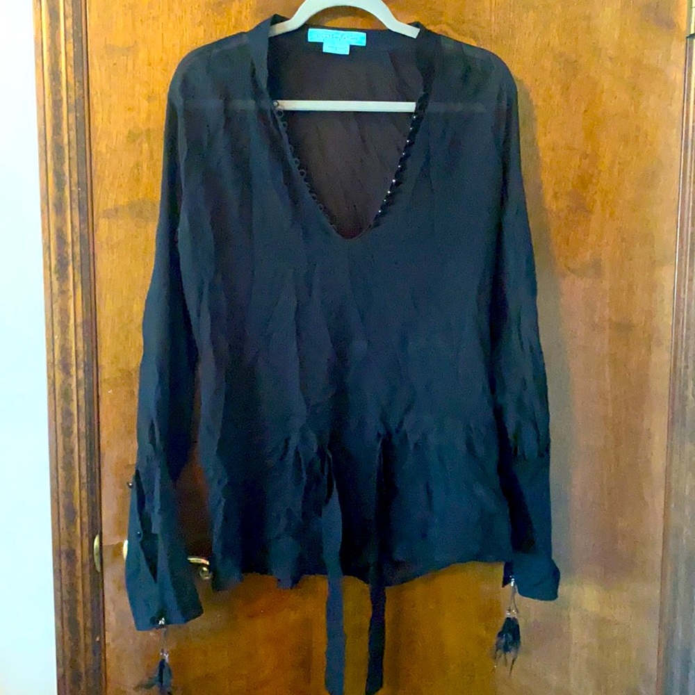 Sheer black Chinese button feather sleeve top